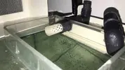 [TodoMarino.com] Proyecto "Nano Reef" 46 by Fenix