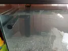 [TodoMarino.com] Mi primer acuario