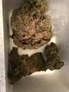 [TodoMarino.com] VENDO ROCA VIVA SOBRE 6/7 KILOS TIRANDO POR LO BAJO GRANADA Y ENVIOS - Granada y envíos. VENDIDAS