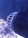[TodoMarino.com] Mi primer marino.