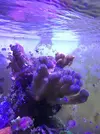 [TodoMarino.com] Desmonte Acuario Lucena (Córdoba) - LUCENA (CORDOBA)