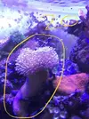 [TodoMarino.com] Desmonte Acuario Lucena (Córdoba) - LUCENA (CORDOBA)