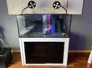 [TodoMarino.com] Vendo acuario+sump+mueble ( 300l) - Madrid