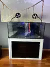[TodoMarino.com] Vendo acuario+sump+mueble ( 300l) - Madrid