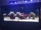 [TodoMarino.com] Mi primer marino.