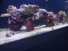[TodoMarino.com] Mi primer marino.