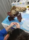 [TodoMarino.com] Mi primer marino.
