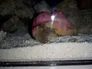 [TodoMarino.com] Hola necesito ayuda
