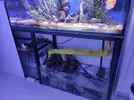 [TodoMarino.com] Vendo acuario grande con escalon - Parla