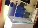 [TodoMarino.com] Vendo acuario 240L + Sump 96L + mesa a medida personalizada (MADRID) - Fuenlabrada (Madrid)