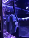 [TodoMarino.com] Mi nuevo acuario Waterbox35.1