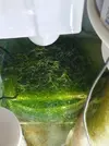 [TodoMarino.com] Vendo anemonas cuadricolor  alga chaeto tambien.  Xeraco valencia