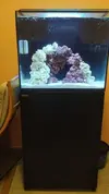 [TodoMarino.com] Me presentó yo y mi primer marino