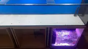 [TodoMarino.com] Desmonto Acuario en Madrid Sur - Fuenlabrada, Madrid