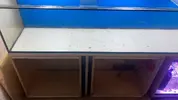 [TodoMarino.com] Desmonto Acuario en Madrid Sur - Fuenlabrada, Madrid