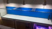 [TodoMarino.com] Desmonto Acuario en Madrid Sur - Fuenlabrada, Madrid