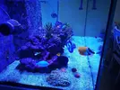 [TodoMarino.com] Venta por desmonte acuario 350 Barcelona - Caldes de Montbui Barcelona