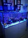 [TodoMarino.com] Venta por desmonte acuario 350 Barcelona - Caldes de Montbui Barcelona