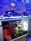 [TodoMarino.com] Venta por desmonte acuario 350 Barcelona - Caldes de Montbui Barcelona