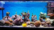 [TodoMarino.com] Pantalla para blandos, 120cm y 500lt