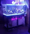 [TodoMarino.com] Acuario de 780 litros