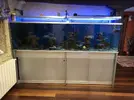 [TodoMarino.com] acuario sirocco 1000lt - BIlBAO
