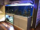 [TodoMarino.com] acuario sirocco 1000lt - BIlBAO