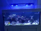 [TodoMarino.com] Mi primer marino.