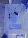 [TodoMarino.com] Mi primer marino.