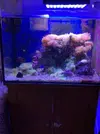 [TodoMarino.com] LIQUIDACIÓN ACUARIO COMPLETO MADRID CENTRO - Madrid