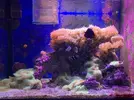 [TodoMarino.com] LIQUIDACIÓN ACUARIO COMPLETO MADRID CENTRO - Madrid