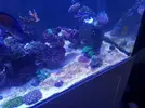 [TodoMarino.com] Mi primer marino.