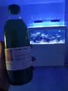 [TodoMarino.com] Mi primer marino.