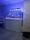 [TodoMarino.com] Mi primer marino.