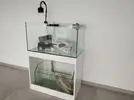 [TodoMarino.com] Acuario Set Marine Gran Cubic 29250, 230 litros blau 92x50x50cm - Murcia