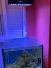 [TodoMarino.com] Acuario por desmonte y material - madrid centro - madrid