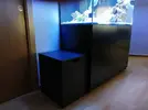 [TodoMarino.com] Ventino's reef