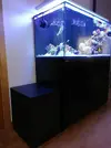[TodoMarino.com] Ventino's reef