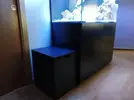 [TodoMarino.com] Ventino's reef