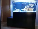 [TodoMarino.com] Ventino's reef