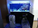 [TodoMarino.com] Ventino's reef
