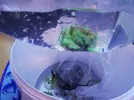 [TodoMarino.com] Ventino's reef