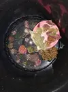 [TodoMarino.com] Ventino's reef