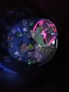 [TodoMarino.com] Ventino's reef