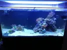 [TodoMarino.com] Ventino's reef