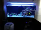 [TodoMarino.com] Ventino's reef