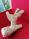 [TodoMarino.com] Ventino's reef