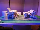 [TodoMarino.com] Ventino's reef