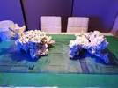 [TodoMarino.com] Ventino's reef