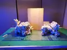 [TodoMarino.com] Ventino's reef